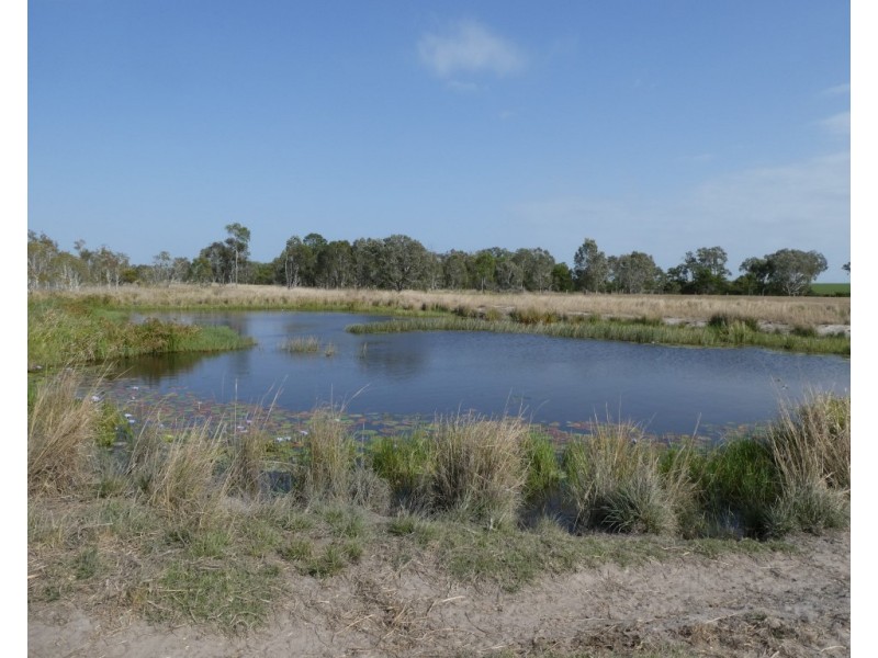 136 Tarrants Road, Calavos QLD 4670