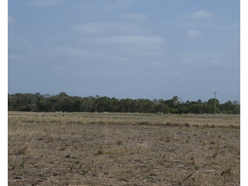 136 Tarrants Road, Calavos QLD 4670