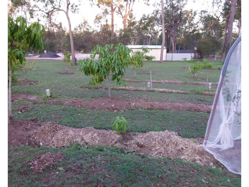 16 MELALEUCA COURT, Redridge QLD 4660