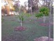 16 MELALEUCA COURT, Redridge QLD 4660