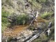 Gooroolba QLD 4625