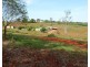 28941 BRUCE HIGHWAY, Childers QLD 4660
