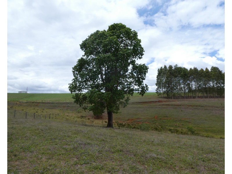 Lot 5,  South Isis Road, South Isis QLD 4660