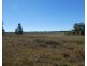 Duckinwilla QLD 4650