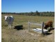Duckinwilla QLD 4650
