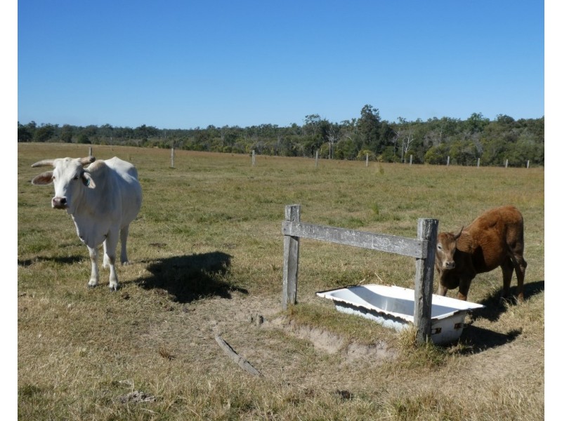 Duckinwilla QLD 4650