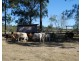 Duckinwilla QLD 4650