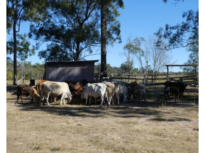 Duckinwilla QLD 4650