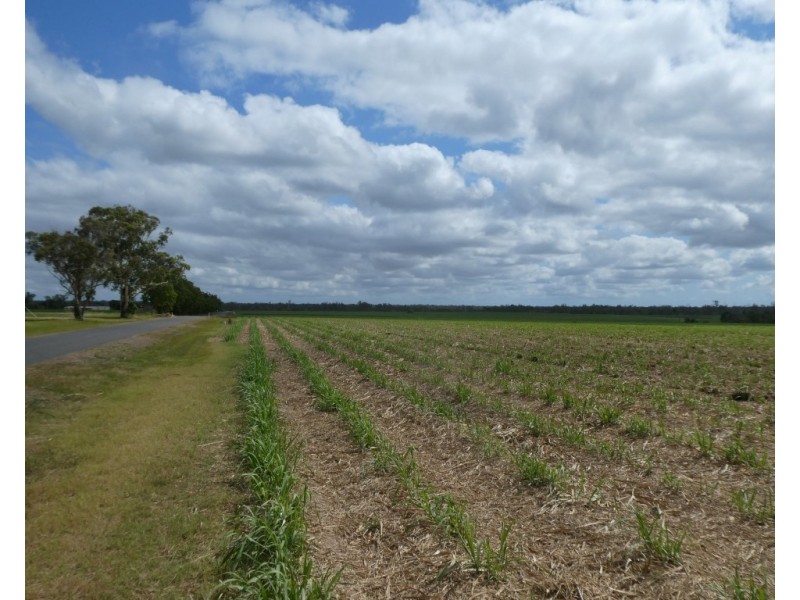 Lot 290,  MARANOS ROAD, Farnsfield QLD 4660