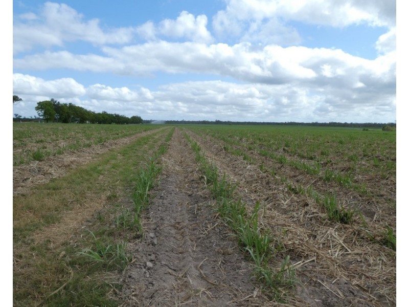 Lot 290,  MARANOS ROAD, Farnsfield QLD 4660