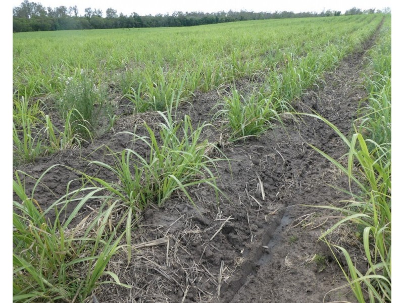 Lot 290,  MARANOS ROAD, Farnsfield QLD 4660