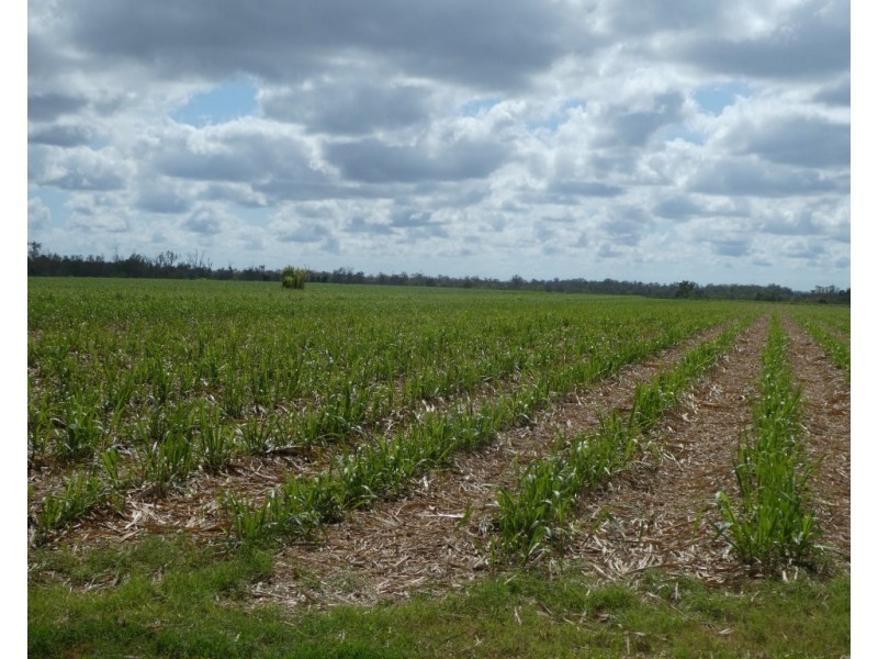 Lot 290,  MARANOS ROAD, Farnsfield QLD 4660