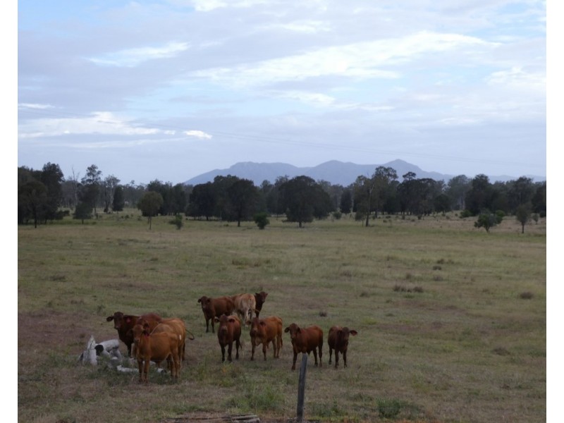 187 BELAH ROAD, Degilbo QLD 4621