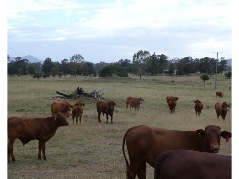 187 BELAH ROAD, Degilbo QLD 4621