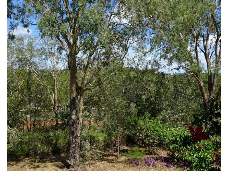 4 WEGERT STREET, Apple Tree Creek QLD 4660