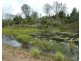 Pine Creek QLD 4670