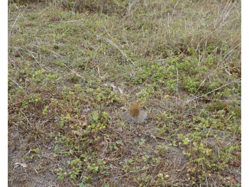 Moolboolaman QLD 4671