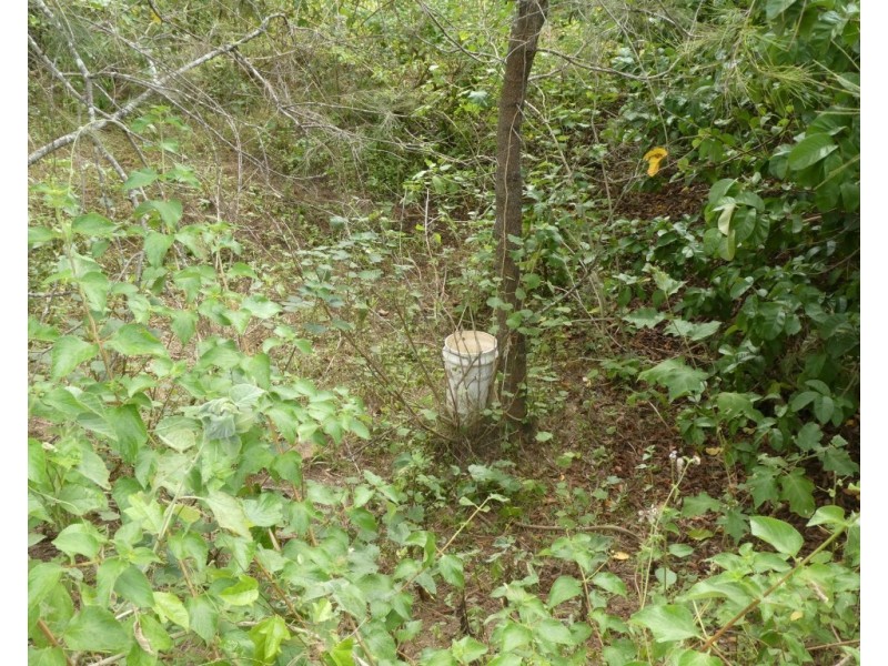 Moolboolaman QLD 4671