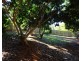 65 Thompson Road, Childers QLD 4660