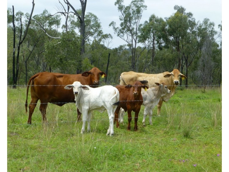 Gayndah QLD 4625