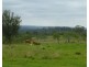 Gayndah QLD 4625
