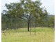 Gayndah QLD 4625
