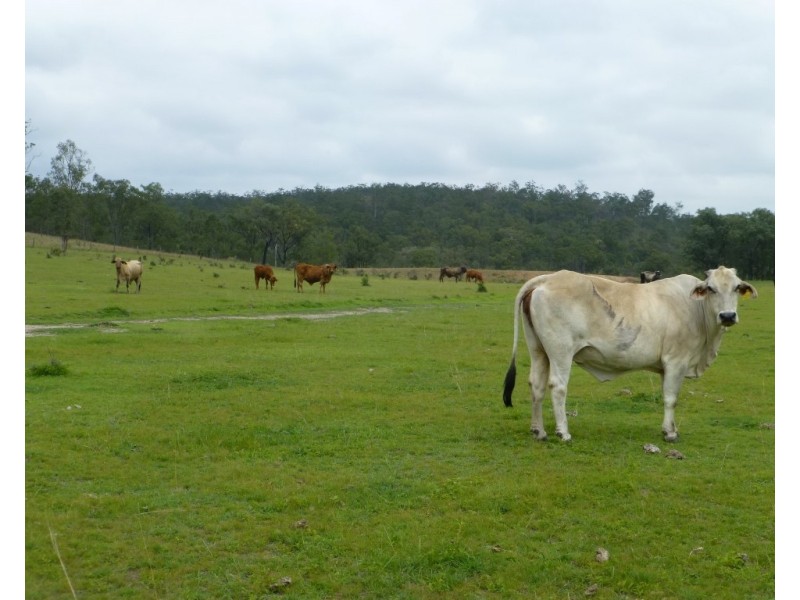 Gayndah QLD 4625