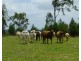 Gayndah QLD 4625