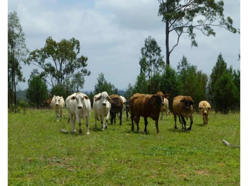Gayndah QLD 4625