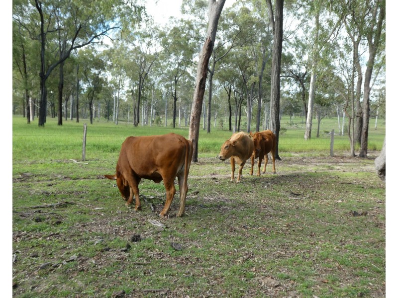 Eureka QLD 4660