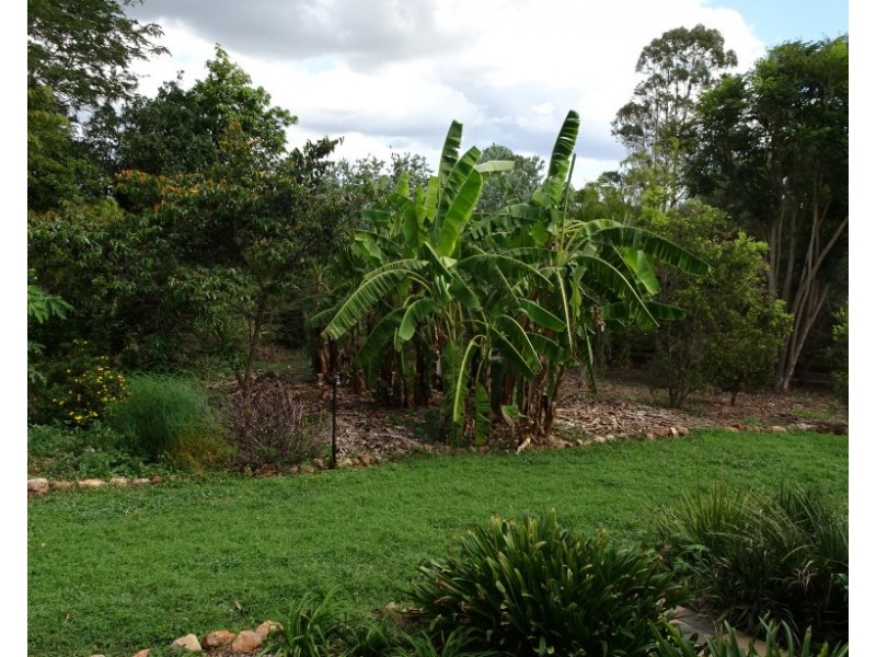 161 HUXLEY ROAD, North Isis QLD 4660