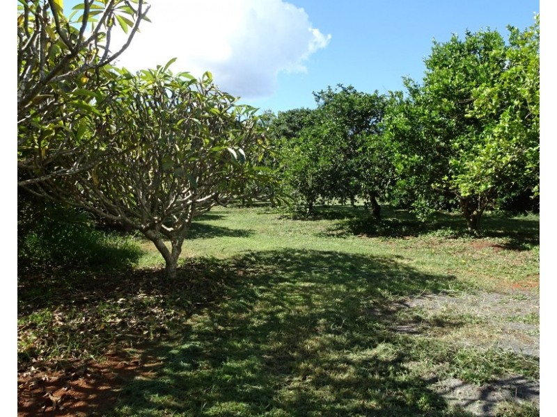 161 HUXLEY ROAD, North Isis QLD 4660