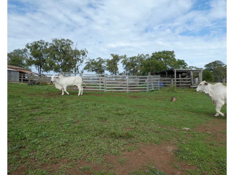 Dallarnil QLD 4621