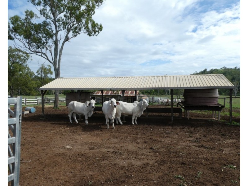 Dallarnil QLD 4621