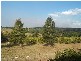 Apple Tree Creek QLD 4660