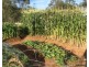 16 Watkins STREET, Buxton QLD 4660