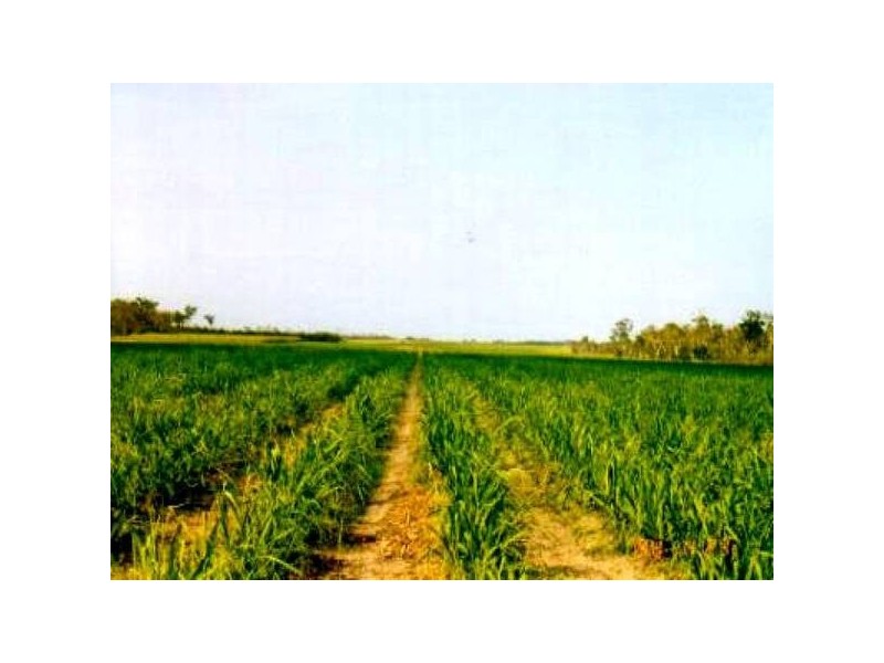 Bundaberg QLD 4670