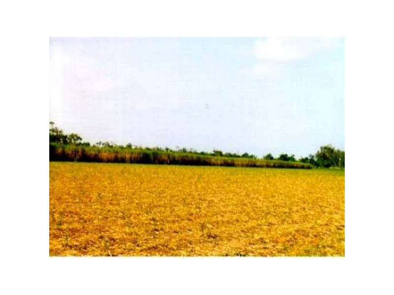 Bundaberg QLD 4670