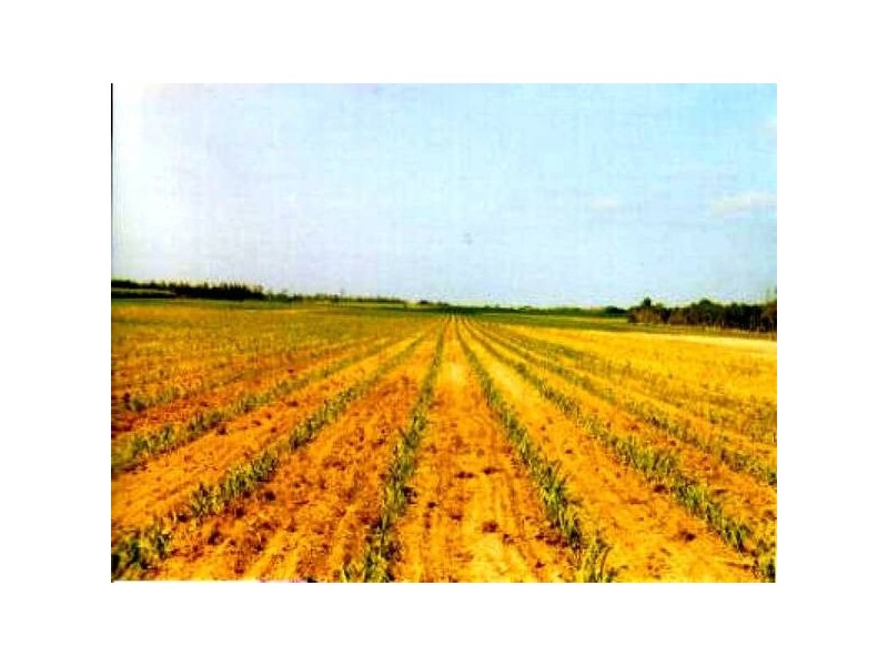 Bundaberg QLD 4670