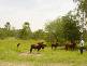 Moolboolaman QLD 4671