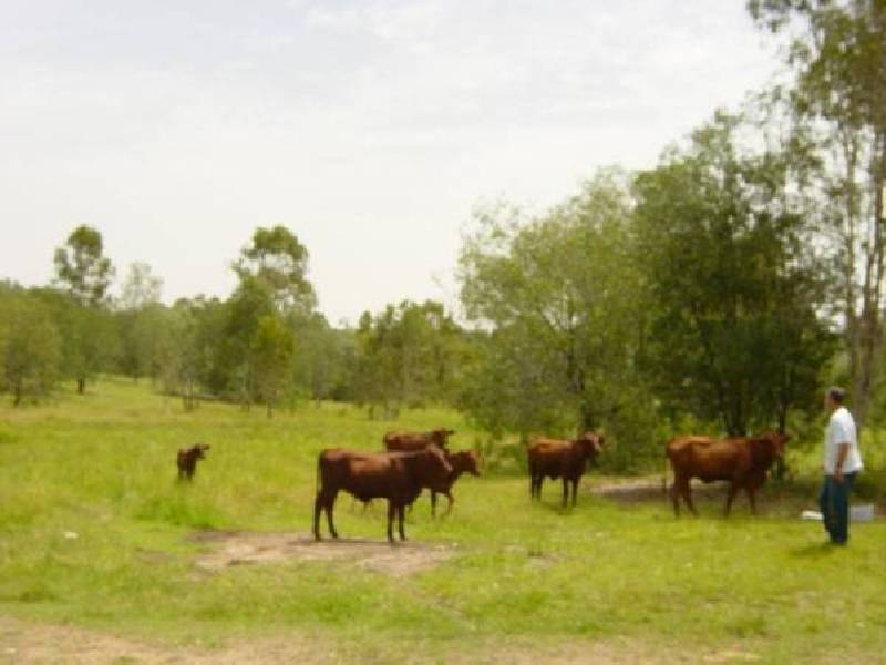 Moolboolaman QLD 4671