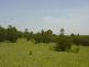 Moolboolaman QLD 4671