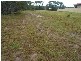 Buxton QLD 4660