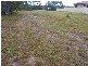 Buxton QLD 4660