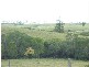 Coringa QLD 4621