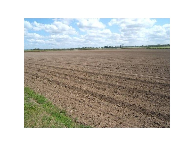 Bundaberg QLD 4670