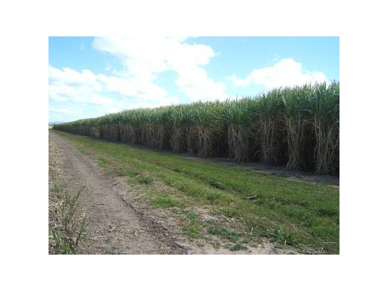 Bundaberg QLD 4670