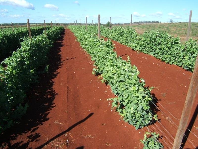 97 Butchers Road, Childers QLD 4660