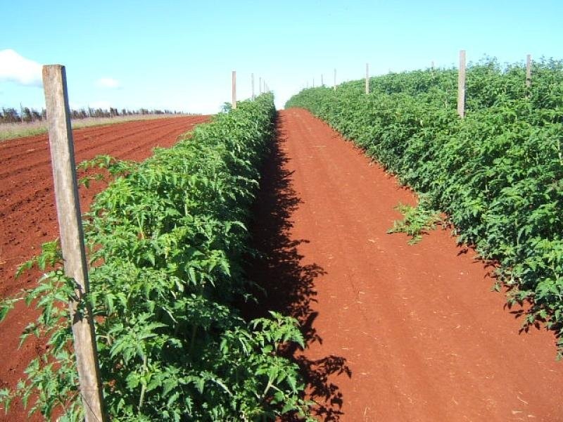 97 Butchers Road, Childers QLD 4660