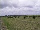 Sharon QLD 4670